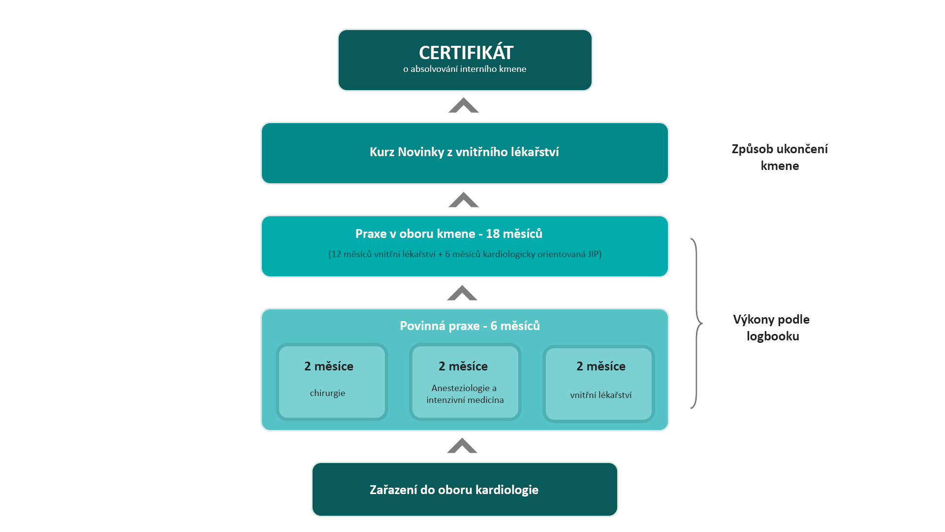 Schema kardiologie